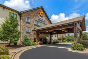 Гостиница Comfort Inn & Suites Blue Ridge  Блу Ридж